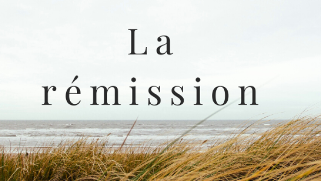 Guérir du TOC du couple : TCC, ERP, ACT