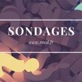 Sondage